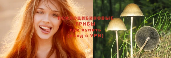 a pvp Абаза