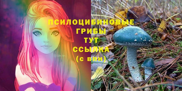 a pvp Абаза