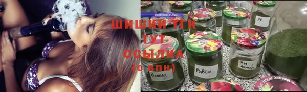 дживик Абинск