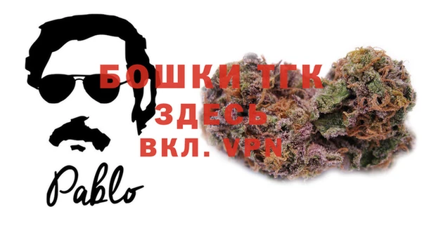 дживик Абинск