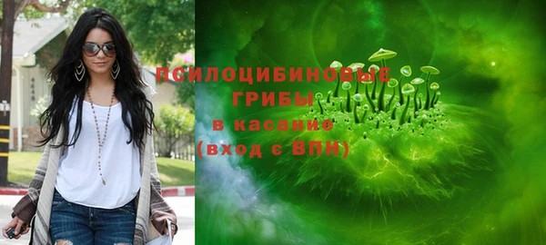 a pvp Абаза