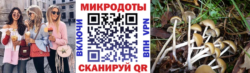 где купить   Липецк  Псилоцибиновые грибы мухоморы 